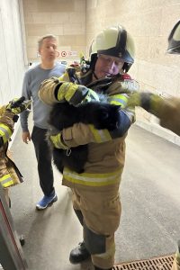 Technischer Einsatz Tierrettung