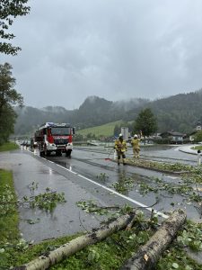 Baum über Lammertal Straße B162